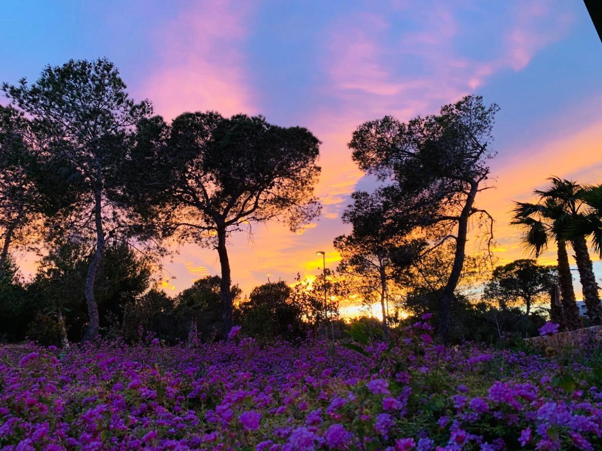 Naranjo Golf & Leisure Lejlighed Dehesa de Campoamor  Eksteriør billede